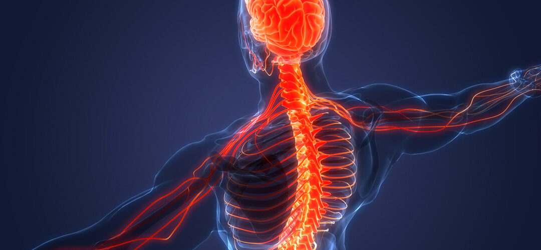 There is a Hidden Connection Between Cervical Spine Instability, Brain Injury, and Cognitive Decline